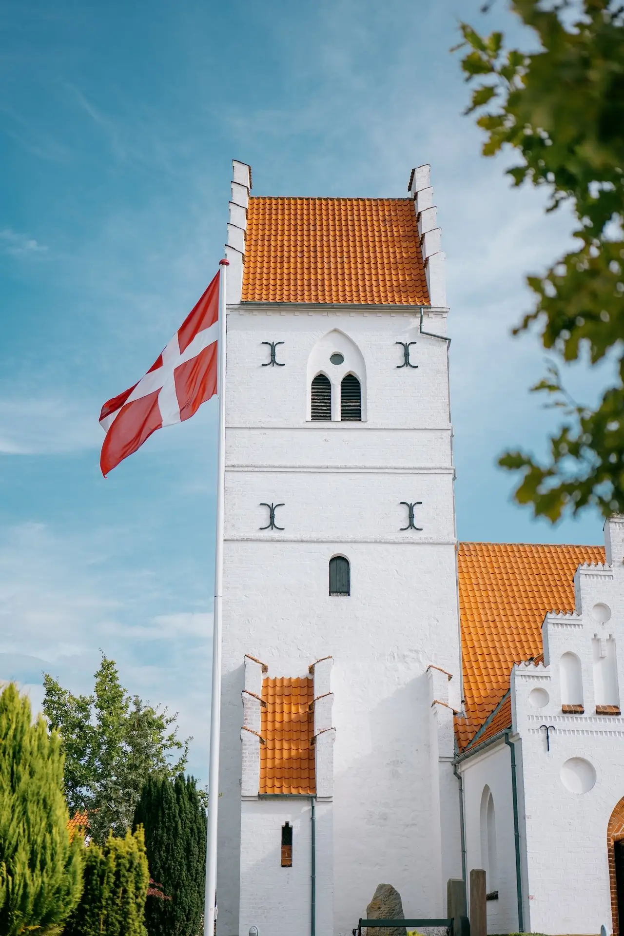fødselsdag image1
